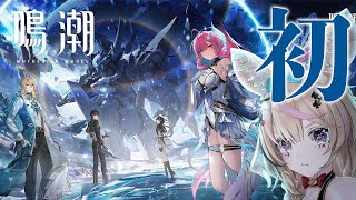 【鳴潮】初見でやるならタイミングは今だよな！？【尾丸ポルカ/ホロライブ】