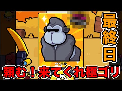 ジャンアド最終日！極大ゴリラはゲットできるのか！？【#ダダサバ/#ダダサバイバー】