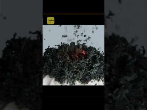 What Should You Do If Your Stove Leaks Gas 😱