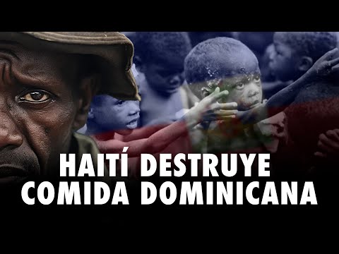 La OEA asecha la situación en la frontera Dominico-haitiana