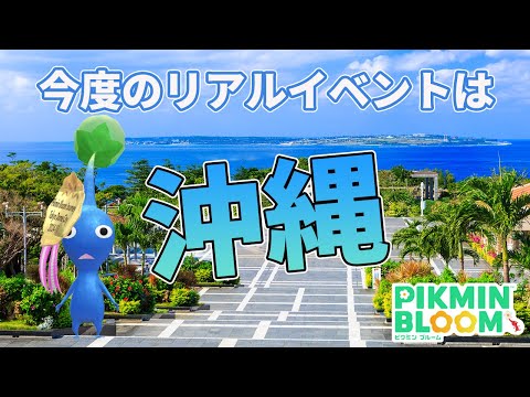 次々と開催されるリアルイベント！今度は沖縄だ～っ！【ピクミンブルーム/PikminBloom】