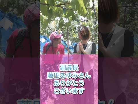 【年に2回のバスツアー】南アルプス市へお邪魔しました！フルーツ狩りときゅうり農家さんに農家体験！#南アルプス市 #藤田あゆみ　 #バスツアー
