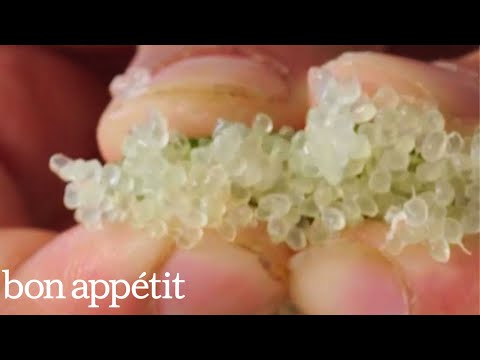 Finger Limes: Little Citrus Pop Rocks