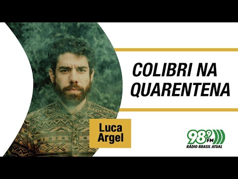 Colibri na Quarentena - 22.06.2022 - Luca Argel
