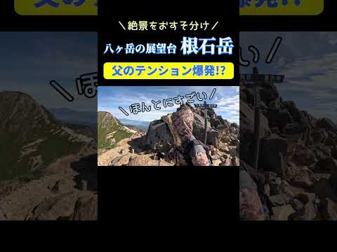 【根石岳】あまりの絶景に父が暴走!? #根石岳 #八ヶ岳 #登山