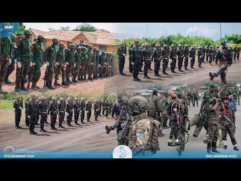 RDC-M23 : DES FARDC EN FORMATION MILITAIRE ACCÉLÉRÉE EN TANZANIE