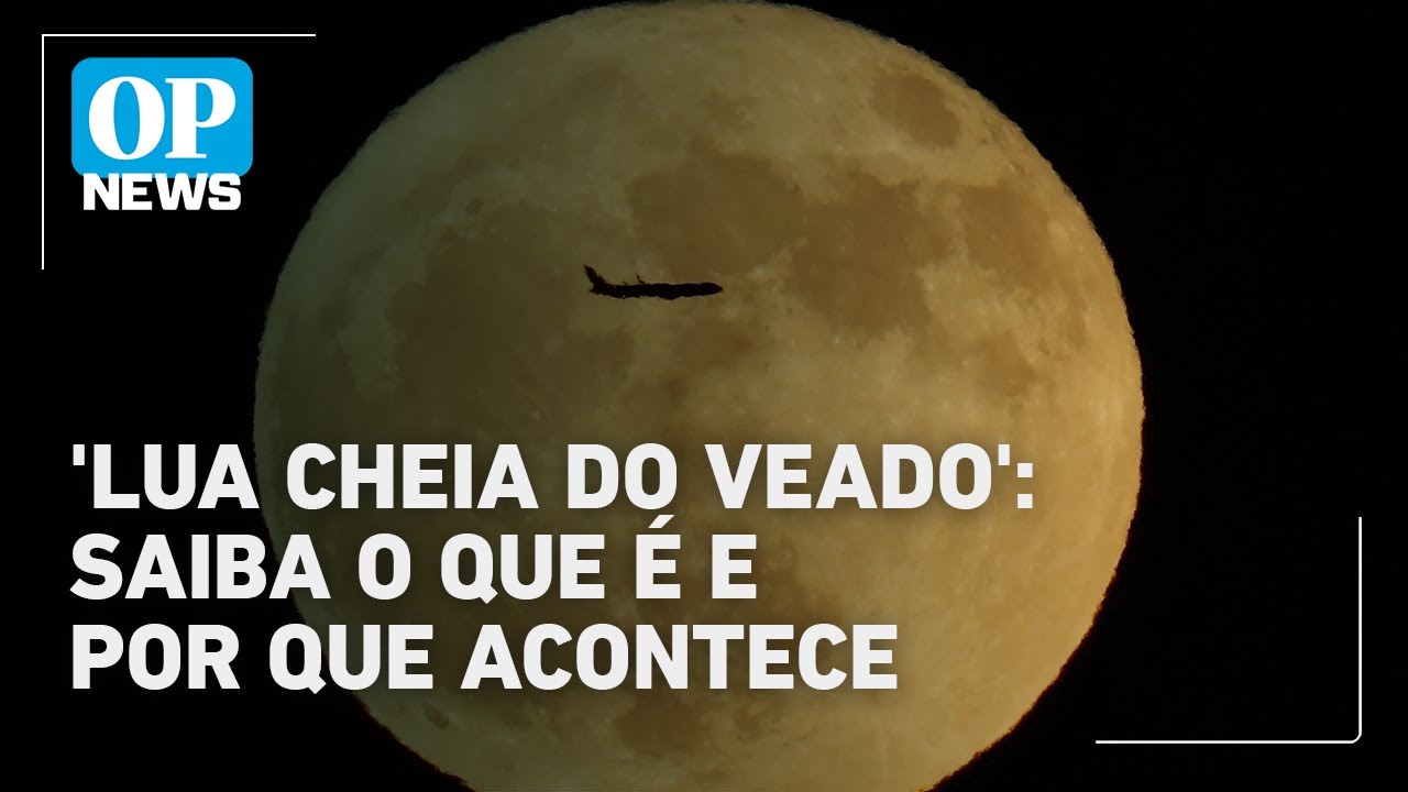 Lua cheia do Veado encanta regiões pelo Brasil Saiba o que é o fenômeno | O POVO News