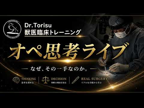 オペ思考ライブ どんなコンテンツか? Youtube宣傳用