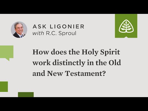 How does the Holy Spirit work distinctly in the Old and New Testament?