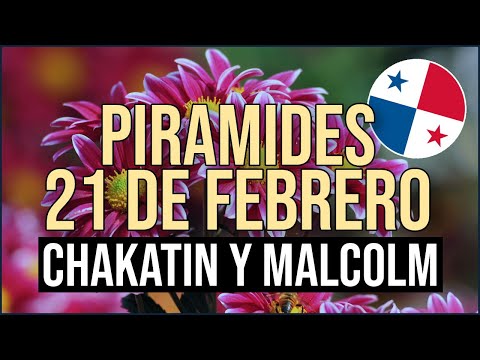 Pirámide Lotería de Panamá Miércoles 21 de Febrero 2024  Pirámide de Chakatin y Malcolm Ramos