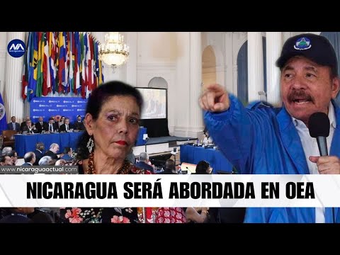 Crisis de DD.HH en Nicaragua será abordada en la OEA