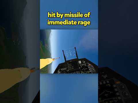 valid reaction #flightsimulator #simulator #vr #gaming #airplane