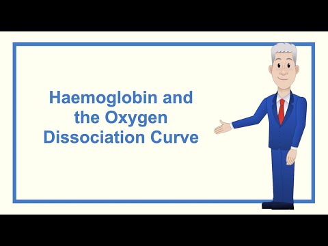 A Level Biology Revision “Haemoglobin and the Oxygen Dissociation Curve”
