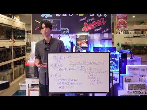 【ショートマンTV】ウーディニウム病(コショウ病)の極み！