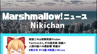 【マシュマロ学習相談】受験生、Twitterやめよう！（直球）【英語ニキ】