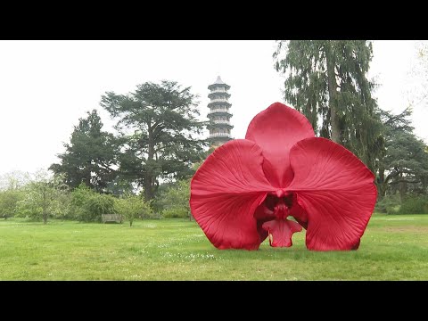 Science and nature inspire huge new sculpture series at London's Kew Gardens