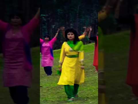 तेरी चाल है हिरनी जैसी | Sanam Bewafa | Salman Khan | Chandni #ytshorts #ytshortfeed