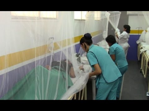 Piura: Dengue hace colapsar hospitales por el incremento de casos