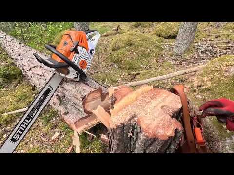 En dag på jobbet med Huggar Olle