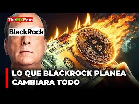 BlackRock Sabe Lo Que Se Nos Viene y Esta Moviendo Sus Inversiones | TheMXFam