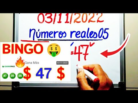 BINGO  47  PREMIO MAYOR lotería GANA MÁS de HOY/NÚMEROS para GANAR la LOTERÍAS HOY 04 de NOVIEMBRE