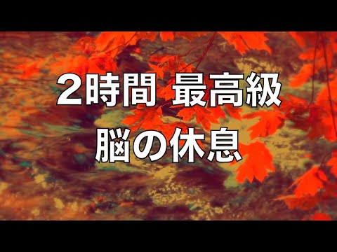 【2時間】 脳の疲れをとり最高級の休息へ 自律神経を整える音楽 α波リラックス効果抜群 【超特殊音源】ストレス軽減 ヒーリング 睡眠 集中力アップ アンチエイジング 瞑想 休息に 水音