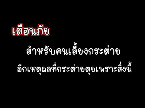 ฅนลูกทุ่ง หัวใจภูธร เตือนภัยคนเลี้ยงกระต่ายต้องระวัง