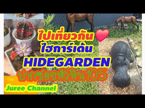 ไปเที่ยวกันรีวิวHIDEGARDENร