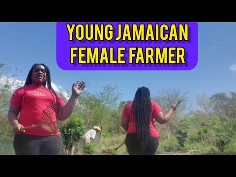 YOUNG JAMAICAN FEMALE FARMER / SEWING CARROTS ON THE FARM// FARM LIFE IN JAMAICA