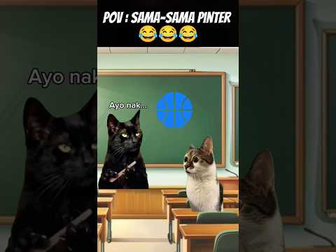 Pov : Gimana sih 😂 #meme #cat #kucing #animation #funny #fypシ