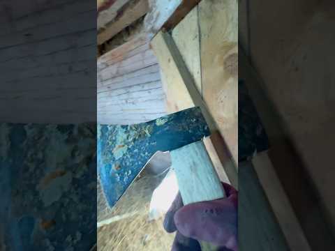 У зорьки дверь примерзла.