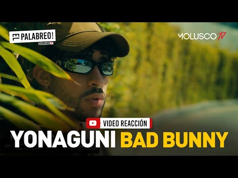 LA MEJOR VIDEO REACCION QUE VERAS DE BAD BUNNY YONAGUNI #ElPalabreo