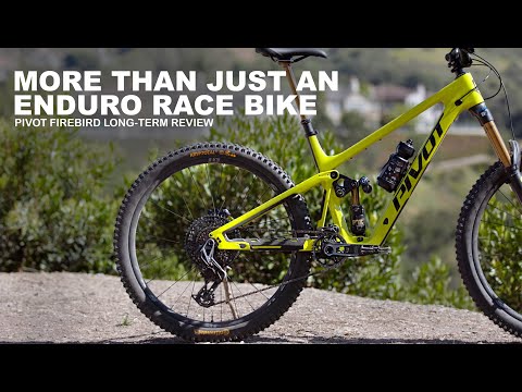 Long-Term Testing the 2025 Pivot Firebird