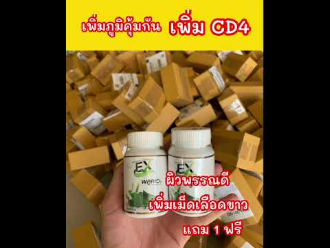 พลูคาว-EXพลูคาว-กระตุ้นเม็ด พลูคาว-EXพลูคาว-กระตุ้นเม็ด