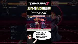 【鉄拳8】見て覚える用語集【ホールド入力】