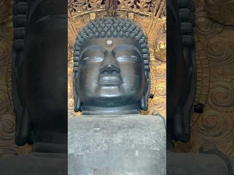 奈良東大寺大仏殿の魅力を動画で学ぼう サムネイル