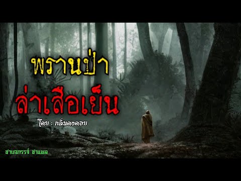 พรานป่าล่าเสือเย็น.!!!