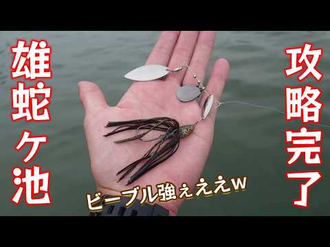 【判明】雄蛇ヶ池のデカバスはあの有名ワンドに潜んでいました!【6月中旬】【ビーブル】