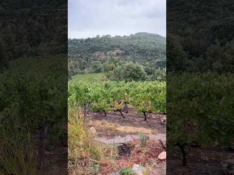 #vinted #achatrevente #pourtoi #secondemain #resell