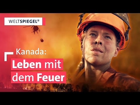 Helden am Limit: Feuerwehrleute im Einsatz gegen Kanadas Waldbrände  | Weltspiegel