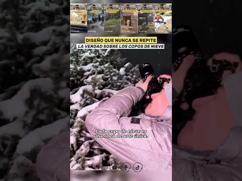 Este Fotógrafo reveló Algo Único 🥹 Un diseño que Nunca se Repite ❄️