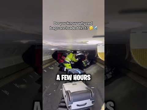This Guy Has The Best Job! 😱