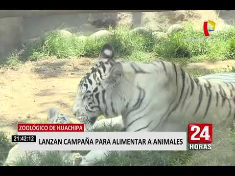 Zoológico  de Huachipa lanza campaña para asegurar alimentos de animales