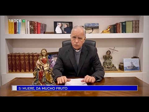 Si muere, da mucho fruto. Padre Jesús. Agosto 10 2024. San Lorenzo.