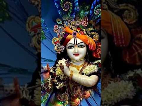 Dil dewana hai #shortsfeed