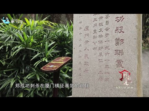 猫の動画サムネイル - 【閩南通】廈門植物園「鎖雲石」丨廈門衛視閩南通