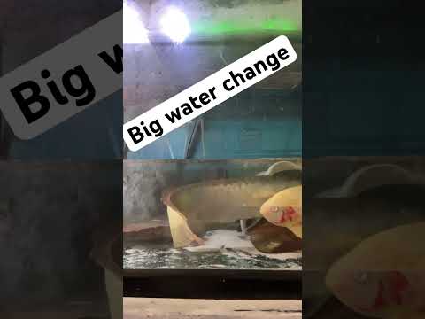 Big water change #music #80smusic #hiphop #rap #fi 