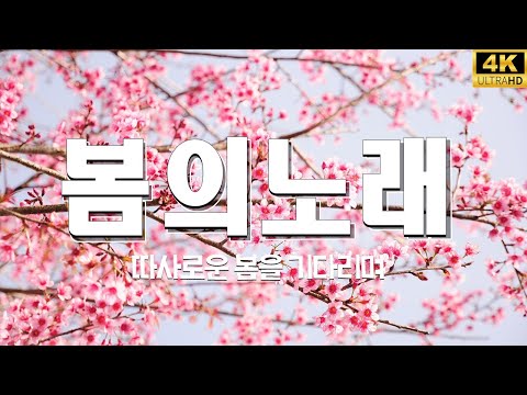 봄이오면울려퍼지는봄노래리스트-봄노래추천TOP