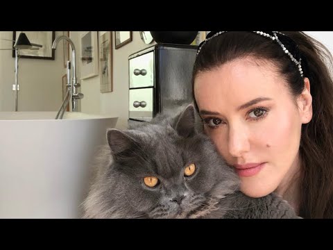 Chats, Cats and Makeup for Staying In!