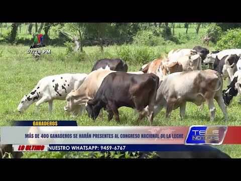 Más de 400 ganaderos se harán presentes al Congreso Nacional de La Leche.